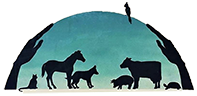 Grand Valley Veterinary Hospital